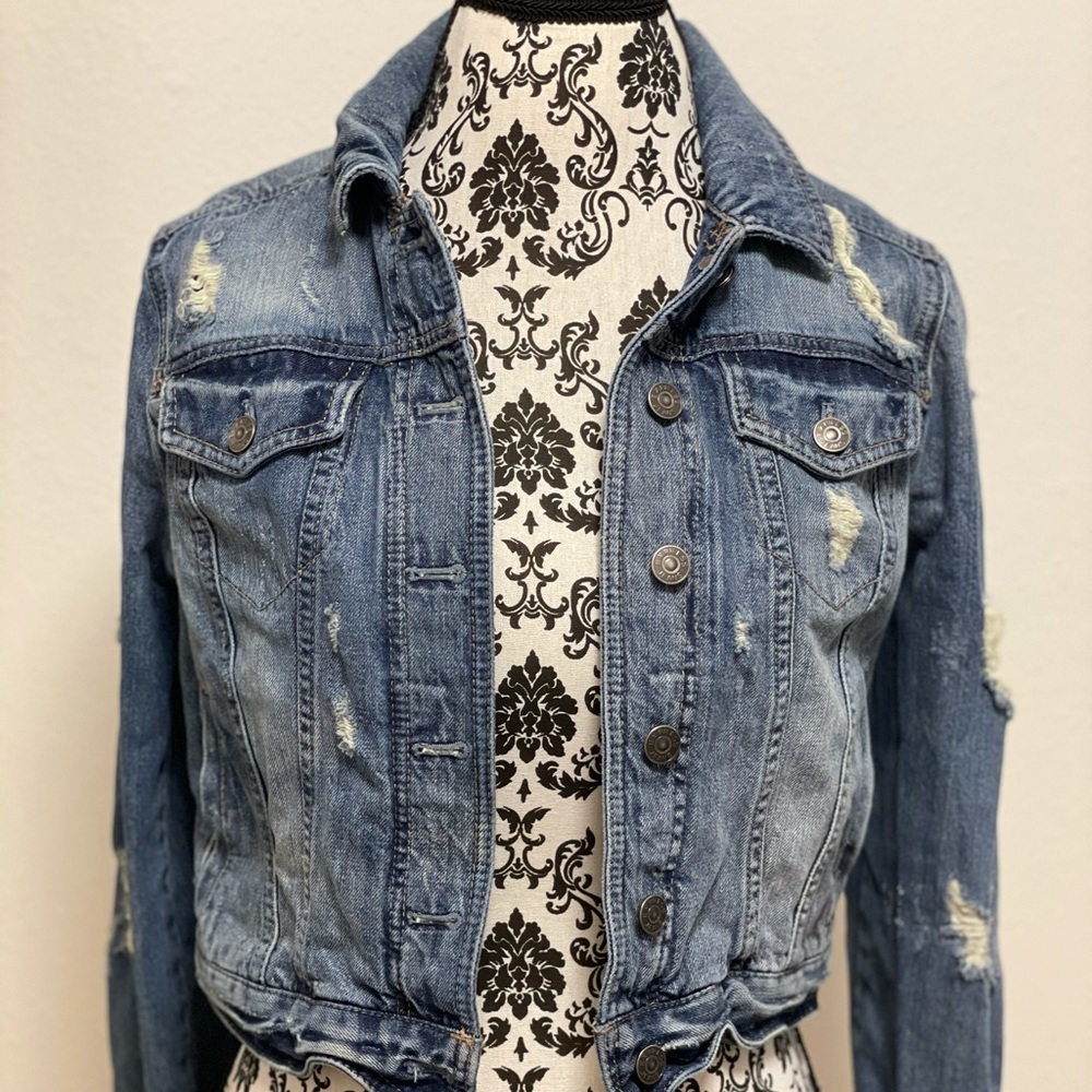 Express Jean Jacket - image 1